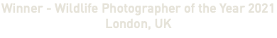 Winner - Wildlife Photographer of the Year 2021 London, UK